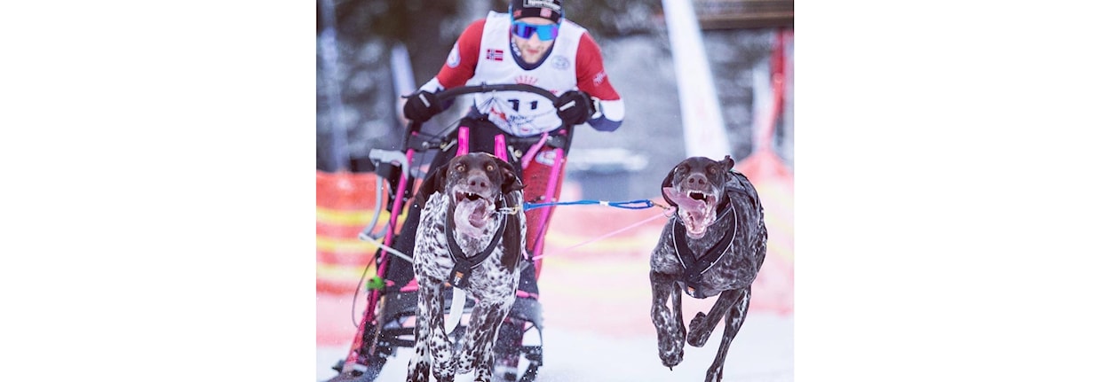 Åpent NM Sprint og mellomdistanse Del 1 og World Cup
